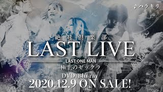 絶対倶楽部(ZETTAI CLUB)ラストワンマンより「ハラキリ」