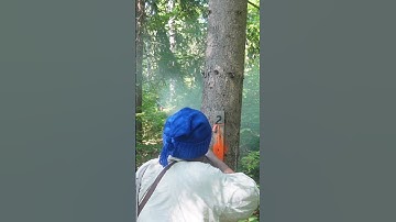 Townsend woods walk flintlock muzzleloader shoot