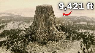 Why They Need You to Think Giant Trees Were Never Real