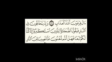 سورة غافر آية٤٧ #سورةالفاتحة #اكسبلور #المصحف #سورةالكوثر #سورةالاخلاص #لايك #الرحمن #ترند #تيك_توك