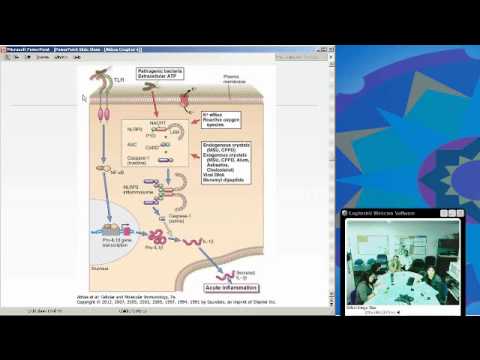 Innate Immunity Christina Ciaccio MD