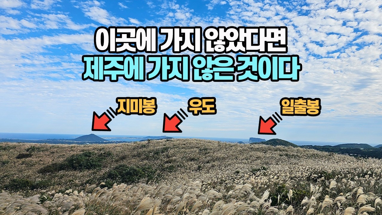이곳에 가지 않았다면 제주에 가지 않은 것이다 | 다랑쉬오름 | 아끈다랑쉬오름