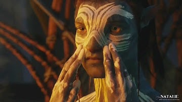 United Stated of Pop 2009- Multifandom