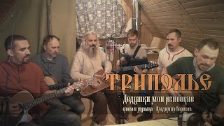 картинка: ТРИПОЛЬЕ - Дедушки мои ясноокие