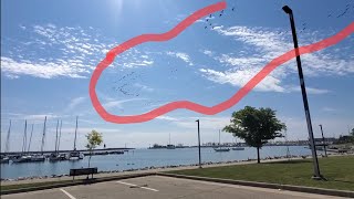 Large Canadian Geese Flock Coming Through Racine Lakefront by CheesyCheetah 41 views 11 months ago 1 minute, 35 seconds