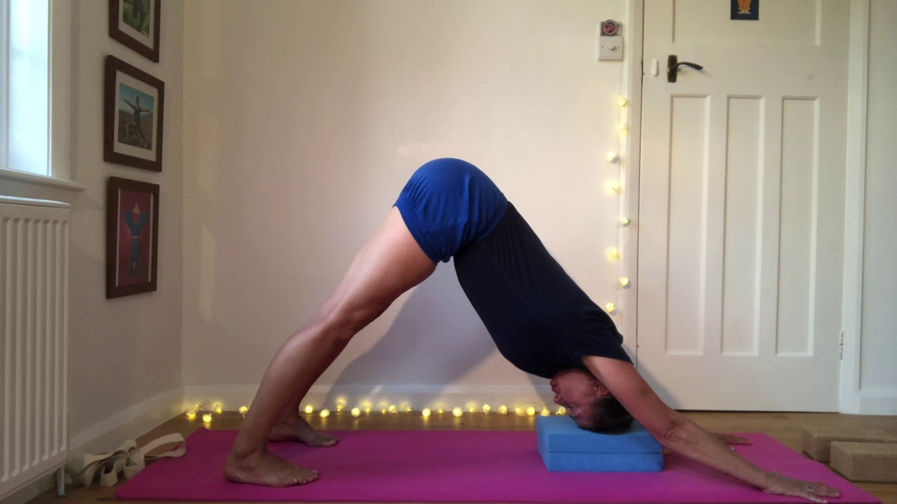 Trailer-Beginner Yoga & All Levels Yoga Class