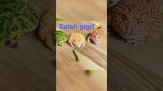 LUCU BANGET KATAK NANGIS habis digigit #shorts #shortvideo.