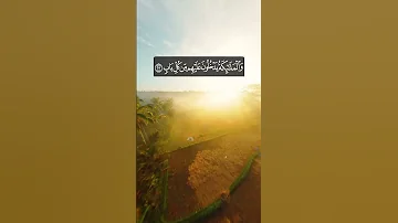 جنات عدن يدخلونها II القارئ عبدالرحمن الرشود 