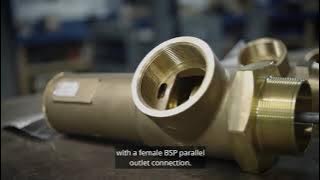 BOSS™ 958 Pressure and Temperature Relief Valve