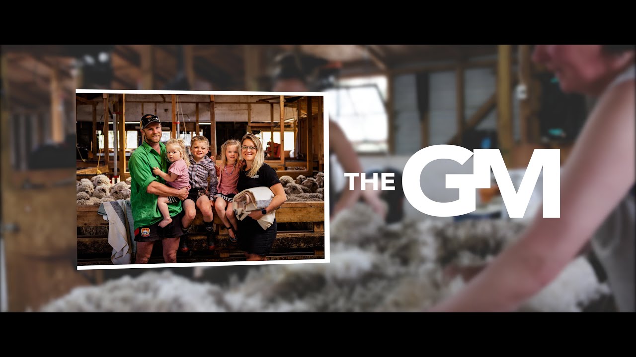 The Grumpy Merino | Sheep Shearing #merino #wool #nzmade # ...