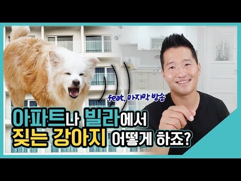 아파트나 빌라에서 짖는 강아지 어떻게 하죠?｜수밤라이브