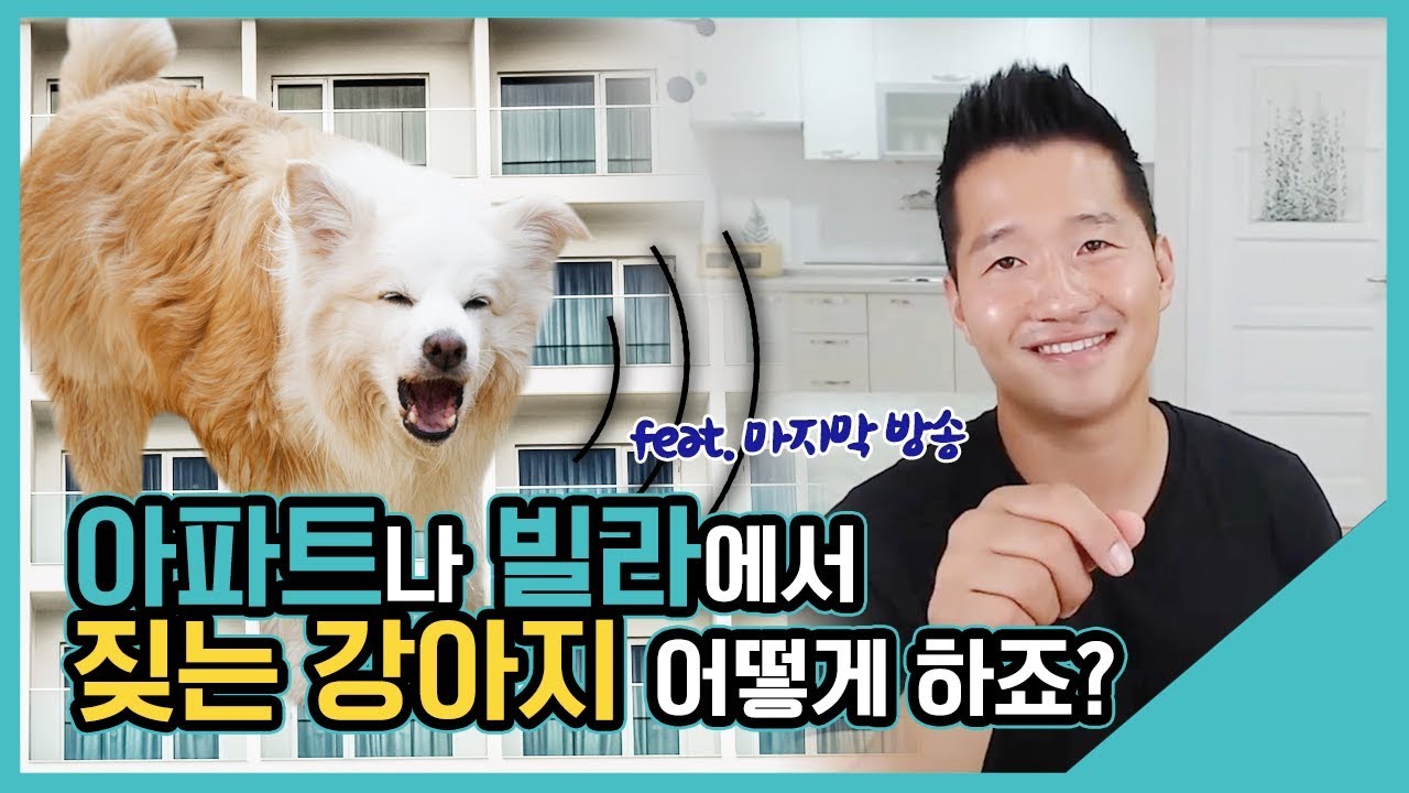 아파트나 빌라에서 짖는 강아지 어떻게 하죠?｜수밤라이브