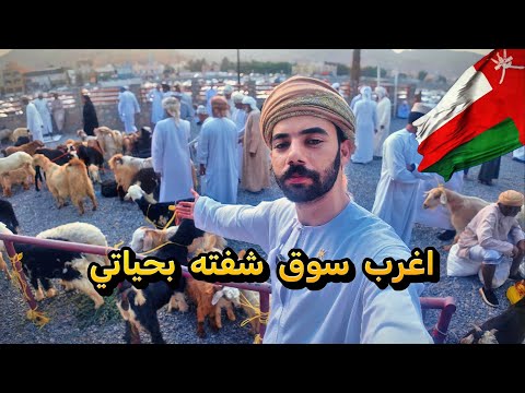 سوق نزوى رحلة وسط التاريخ والتراث العماني