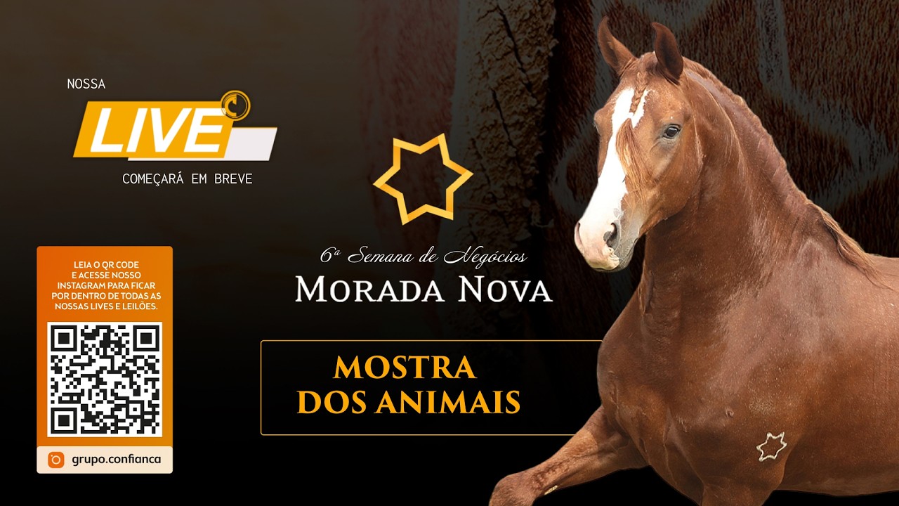Mostra dos Animais - 6ª Semana de Negócios Morada Nova