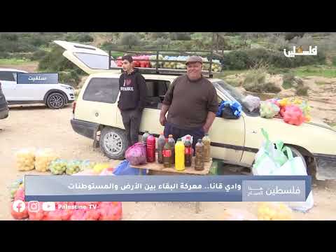 وادي قانا معركة البقاء في الأرض في مواجهة المستوطنات