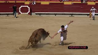 Castellón La Magdalena 12/03/2023 Vídeo Resumen Maestros de la Calle con vacas de Eulogio Mateo