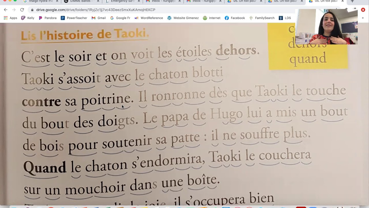 TAOKI 5 - Un toit pour le chaton