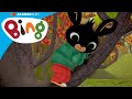 Bing & Sula memanjat pohon! | Bing Bahasa Indonesia