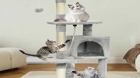 A must-have product! Passerscat Cat Tree Cat Tower With Toy For Indoor Cats Multi-Level With Scrat