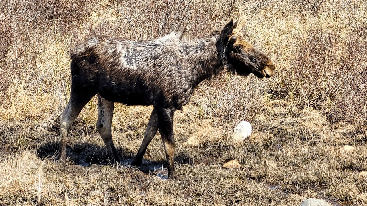 Always a Great Day! Hiking in Algonquin Park