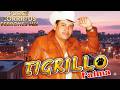 El Tigrillo Palma De Oro 💥 20 Exitos Puros Corridos Mix Para Pistear 2026