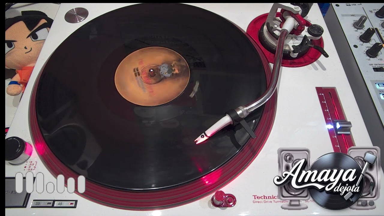 THE SLAG BROTHERS - CHAMPION SOUND