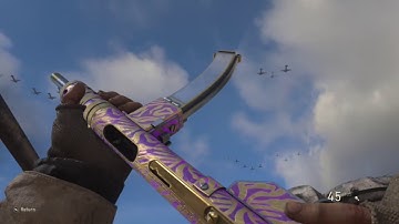 Cod WW2 Level 1000 stats