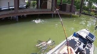 1 HOUR STRAIGHT of dock shooting for SLAB crappie! I could not keep them off my jig!