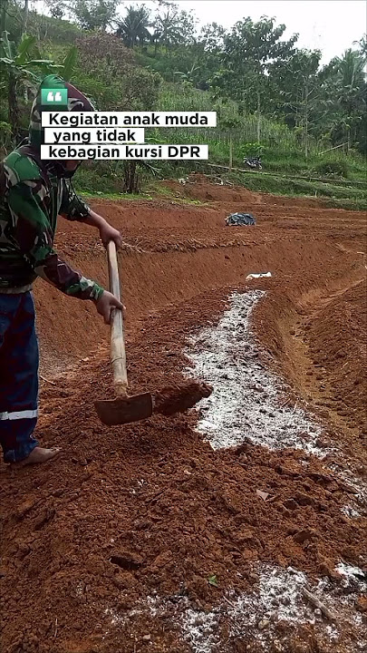 gagal jadi DPR #trending #fyp #shorts #shortsviral #terkini #storywa