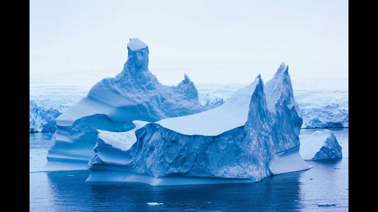 22 Day Antarctic and Southamerica cruise with Holland America Line Oosterdam