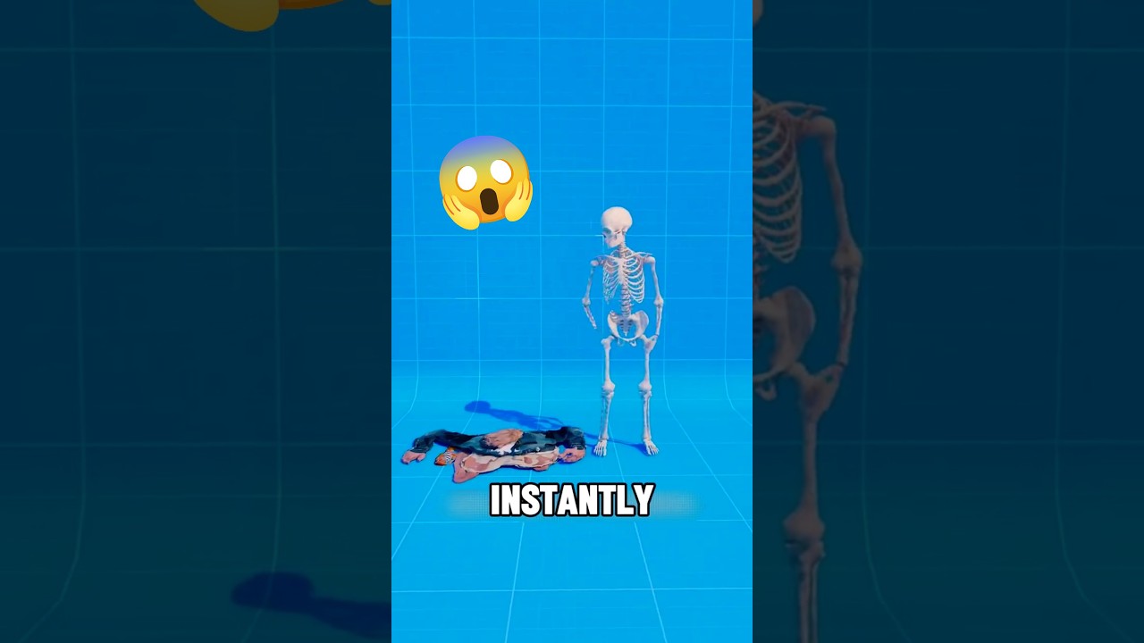 What If Your Body Had No Bones? 💀😨
