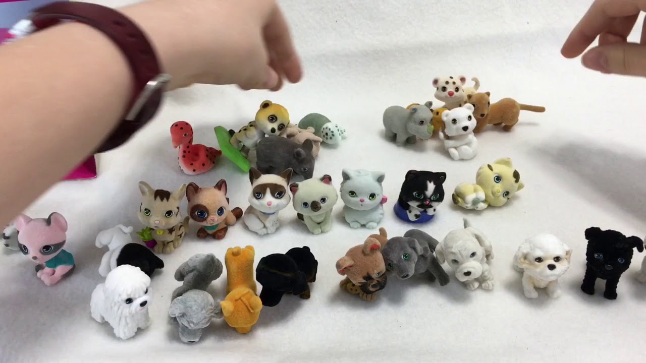 Unboxing Toy review of Jungle, kitty, and puppy in my pocket deluxe 30