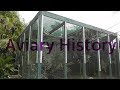 My Aviary History and Pheasants 2017