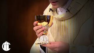 DAILY CATHOLIC MASS 2/10/26 | The Wisdom of Solomon and the Purity of the Heart