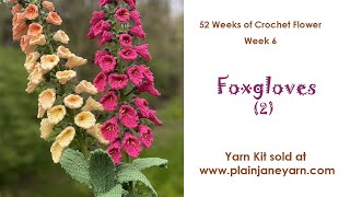 Foxglove (2) -- Flower of Week 6