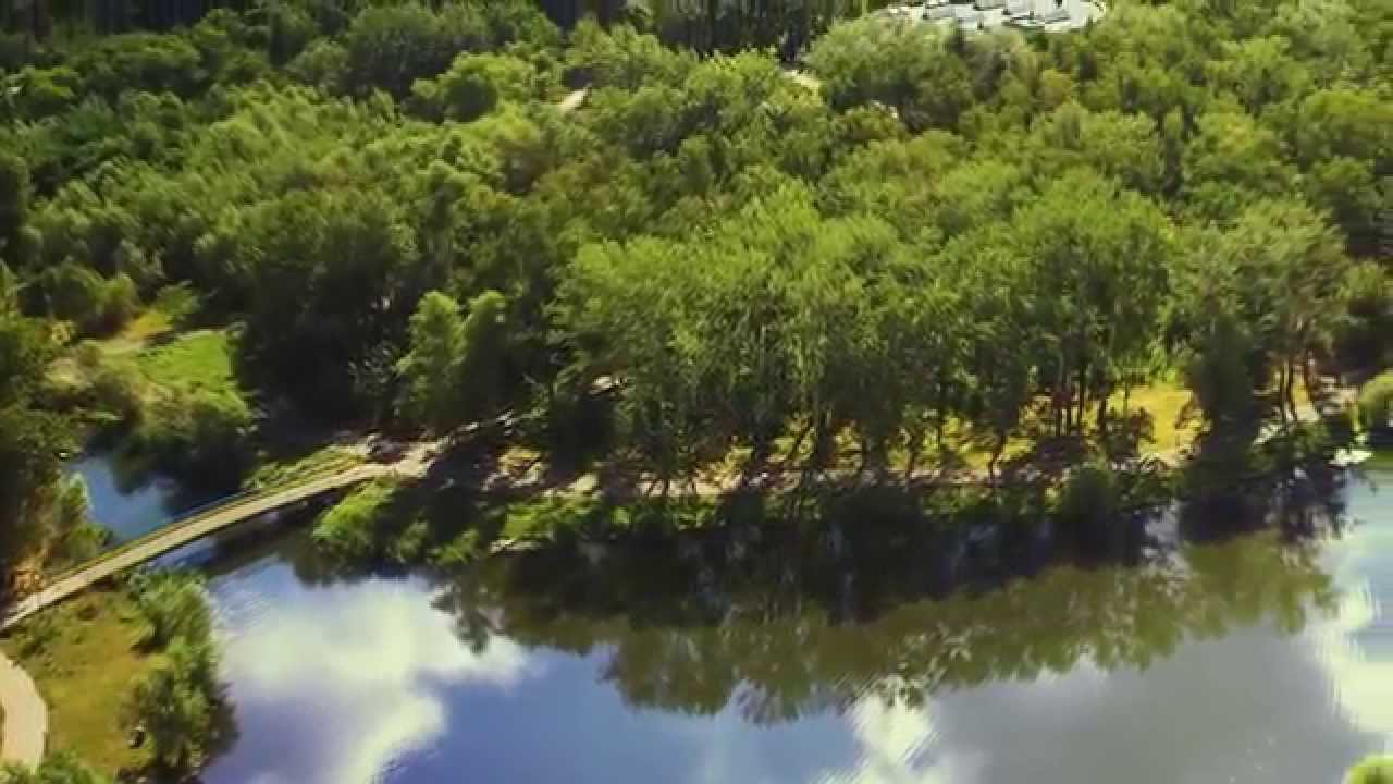 Алексеев киев озера