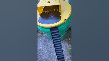 Bucket mouse trap trick #amazonfinds