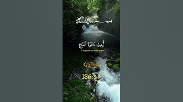 وإدا سألك عبادي عني فاني قريب  #تلاوة_خاشعة #قران_كريم #قرآن #ماهر_المعيقلي #لايك #اكسبلور #duet