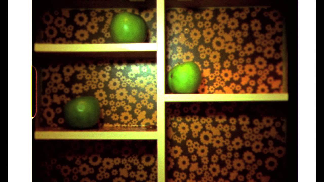 GROOVE MOVE - "Surf Film Trailer"