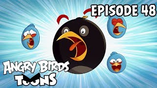 Angry Birds Toons | Shrub It In - S1 Ep48