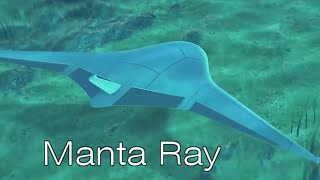 Подводный робот Manta Ray, автономный дрон Пентагона