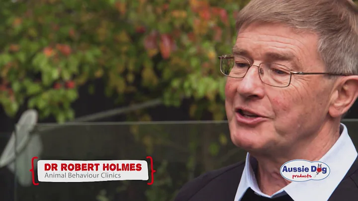 The importance of playing fetch with your dog - S1 Ep 5