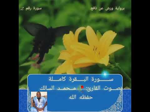 سورة البقرة كاملة بصوت القارئ محمد السالك حفظه الله تلاوه موريتانيه خاشعة