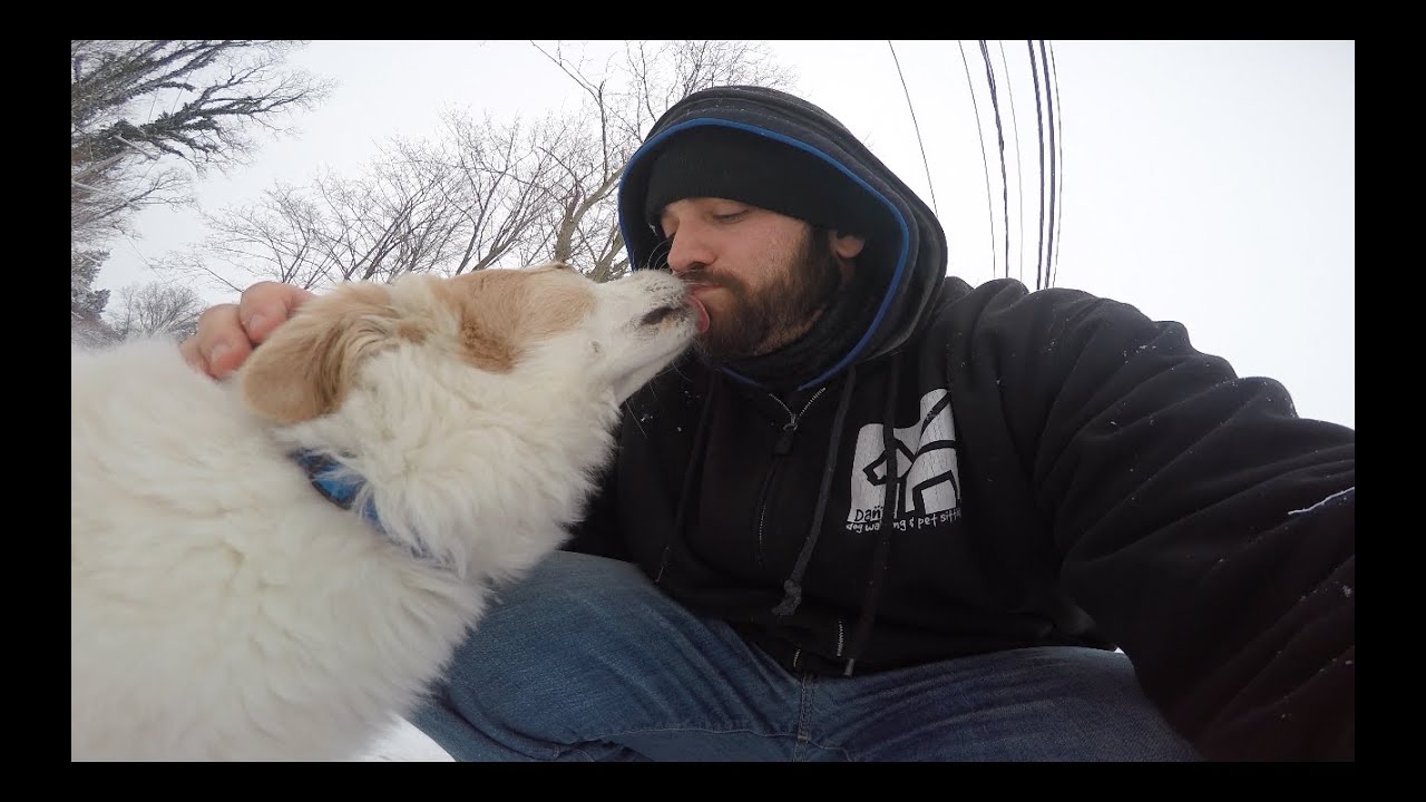 puppy paradise A Walk with Louie and Riley GoPro HD