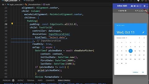How to Display DateTime in Textfield and also format DateTime | Flutter | Dart