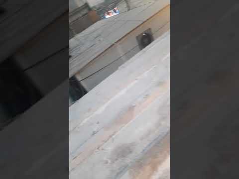 قناة عجايب المخلوقات