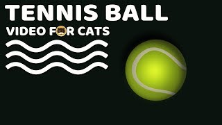 GAME FOR DOGS AND CATS -Tennis Ball. Video for Dogs and Cats to Watch. screenshot 4