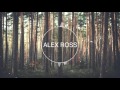 DJ Snake Ft. Bipolar Sunshine - Middle (Alex Ross Remix)