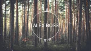 DJ Snake Ft. Bipolar Sunshine - Middle (Alex Ross Remix)