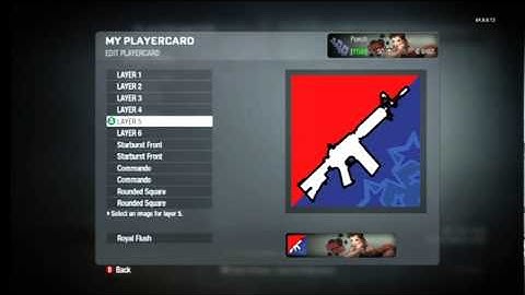 Black Ops - How To: Custom MLG Emblem By Pawzh.